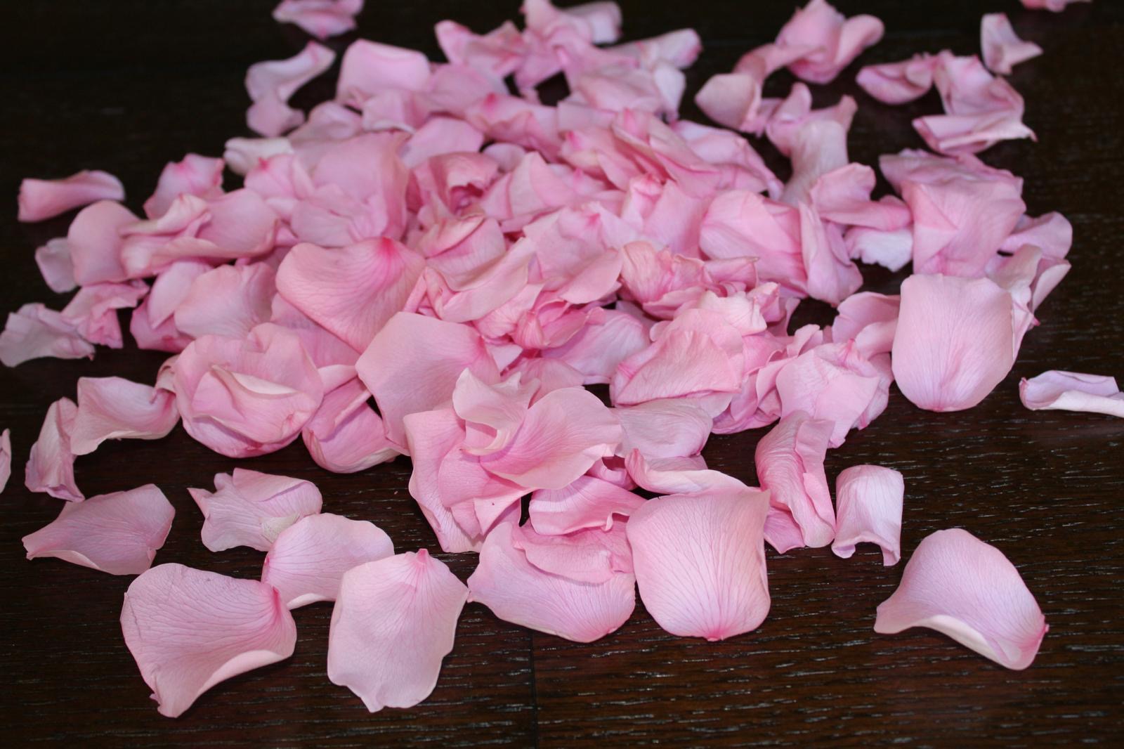 16" Preserved Flower Petal Confetti Cannon - Image 6