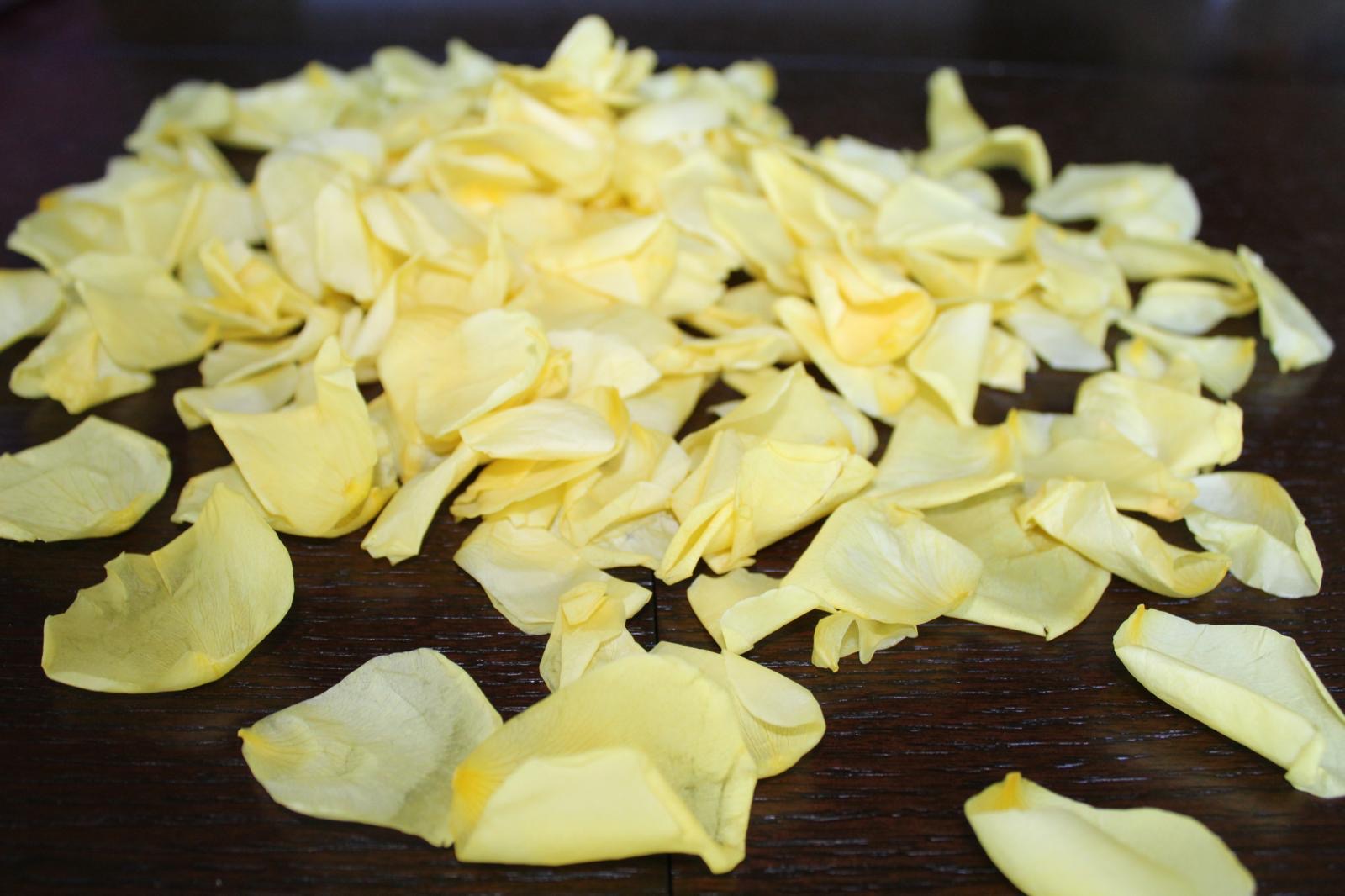 16" Preserved Flower Petal Confetti Cannon - Image 5