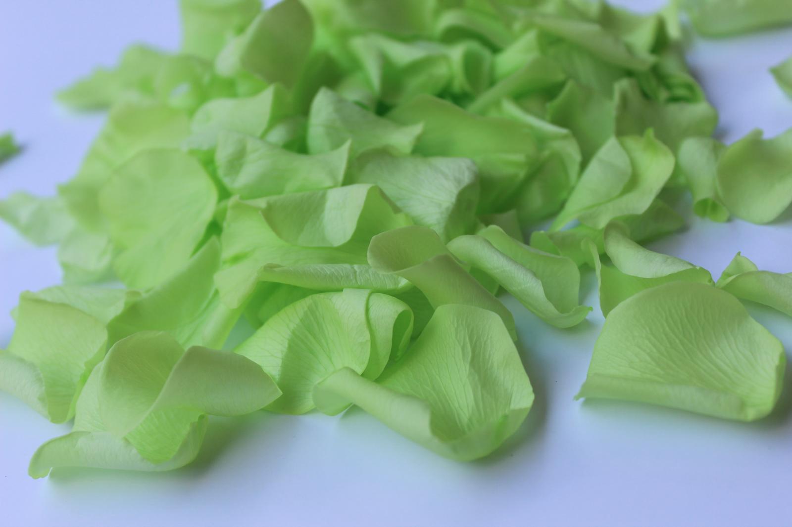 16" Preserved Flower Petal Confetti Cannon - Image 8
