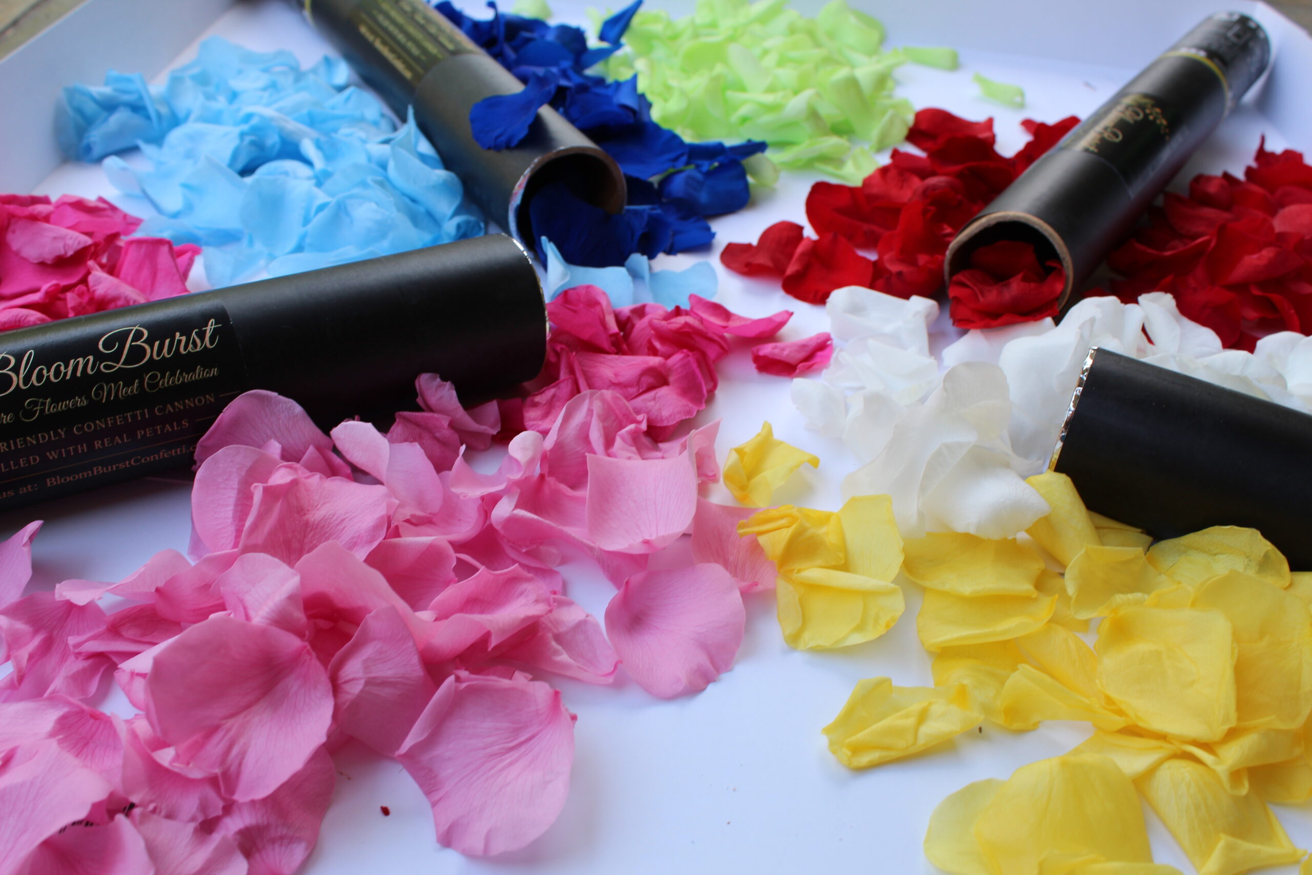 16" Preserved Flower Petal Confetti Cannon
