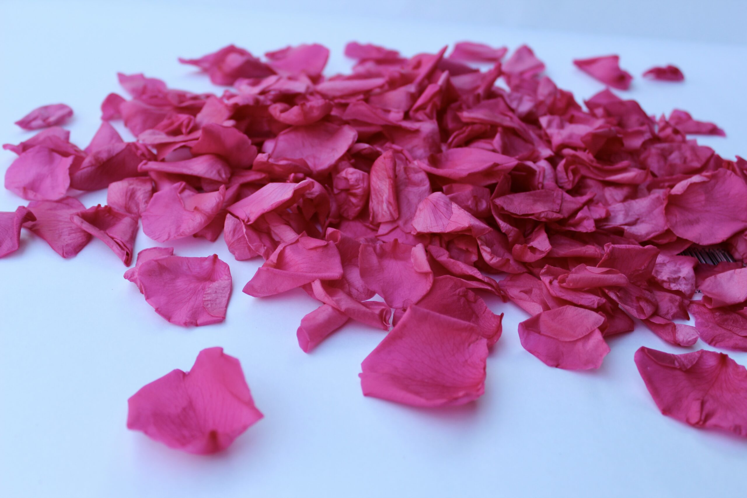 16" Preserved Flower Petal Confetti Cannon - Image 4
