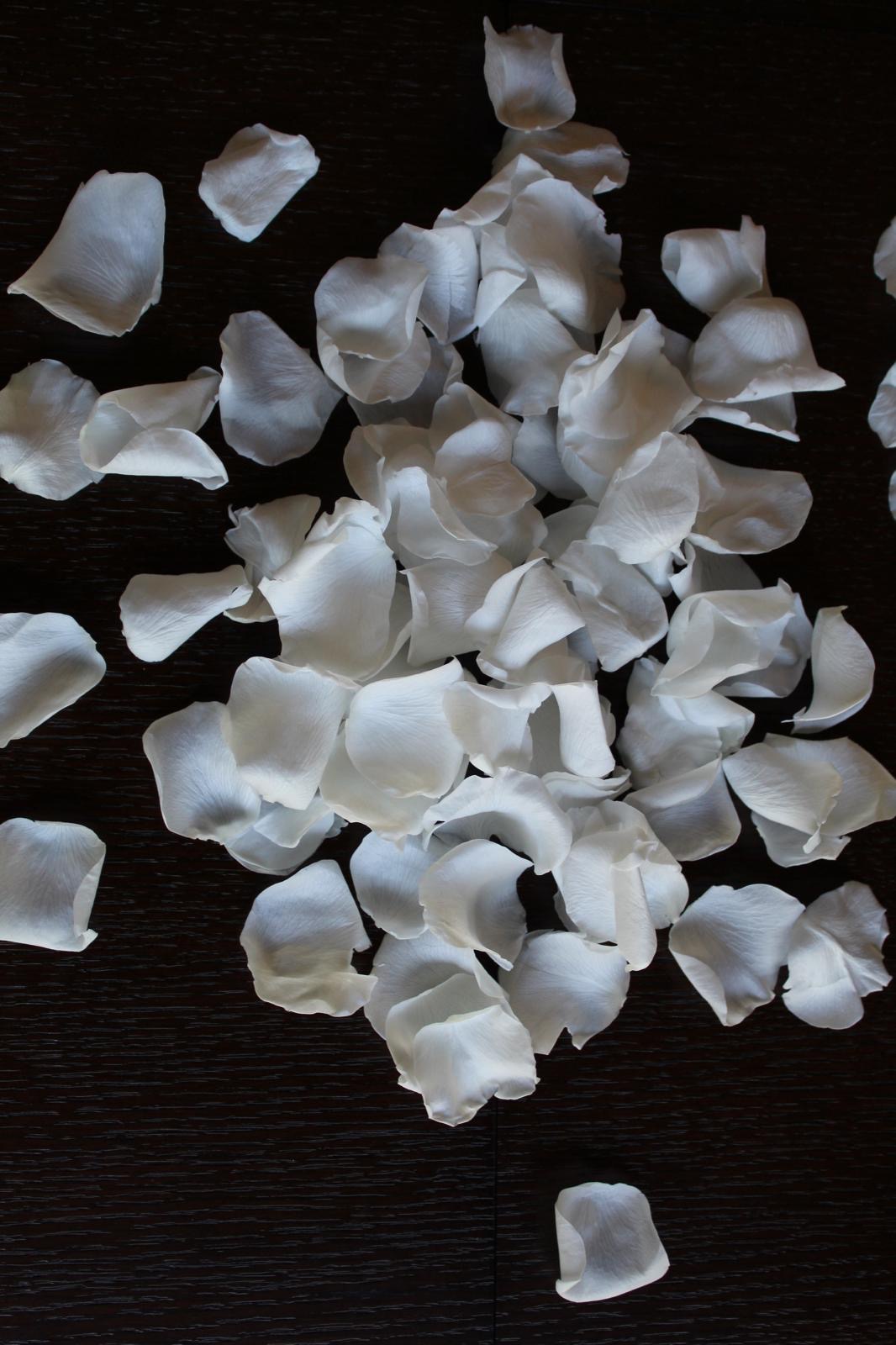 16" Preserved Flower Petal Confetti Cannon - Image 2