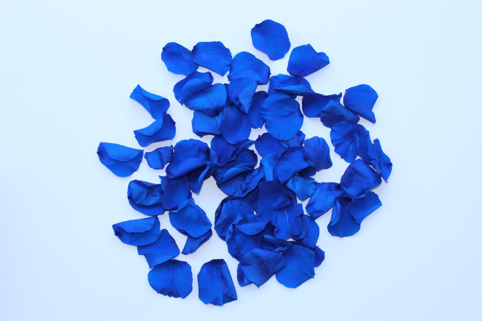 16" Preserved Flower Petal Confetti Cannon - Image 7