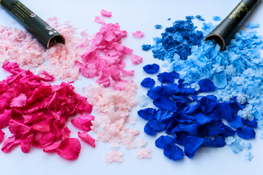 Gender Reveal Package