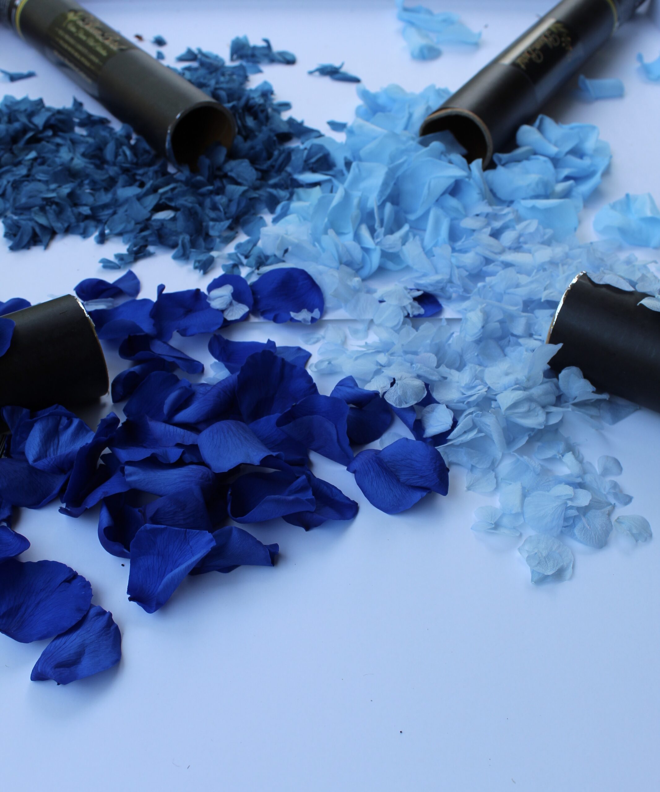 Real preserved petals confetti cannons