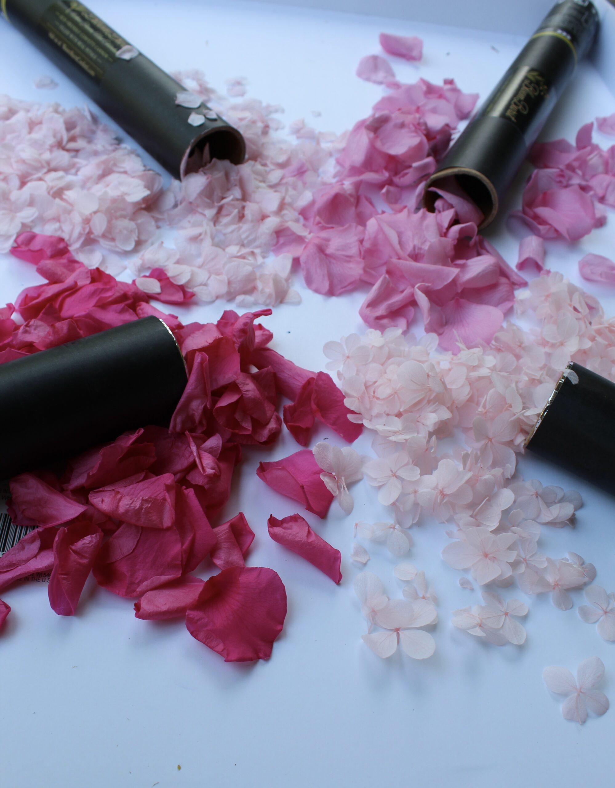 Real preserved petals confetti cannons